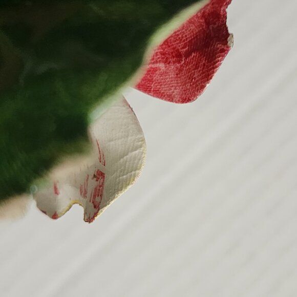 Capodimonte Italy Porcelain Candle Holder Flowers Butterfly Multicolor - Picture 13 of 15